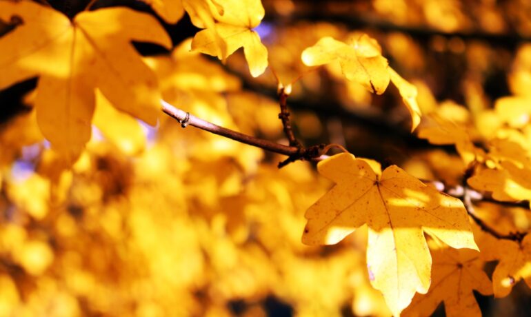 O que é o Setembro Amarelo e por que ele é tão importante?